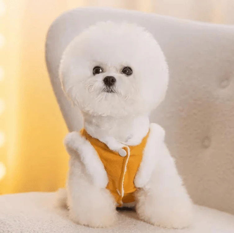 CT3272 1 Pieza De Ropa De Invierno Para Mascota - Imagen 3