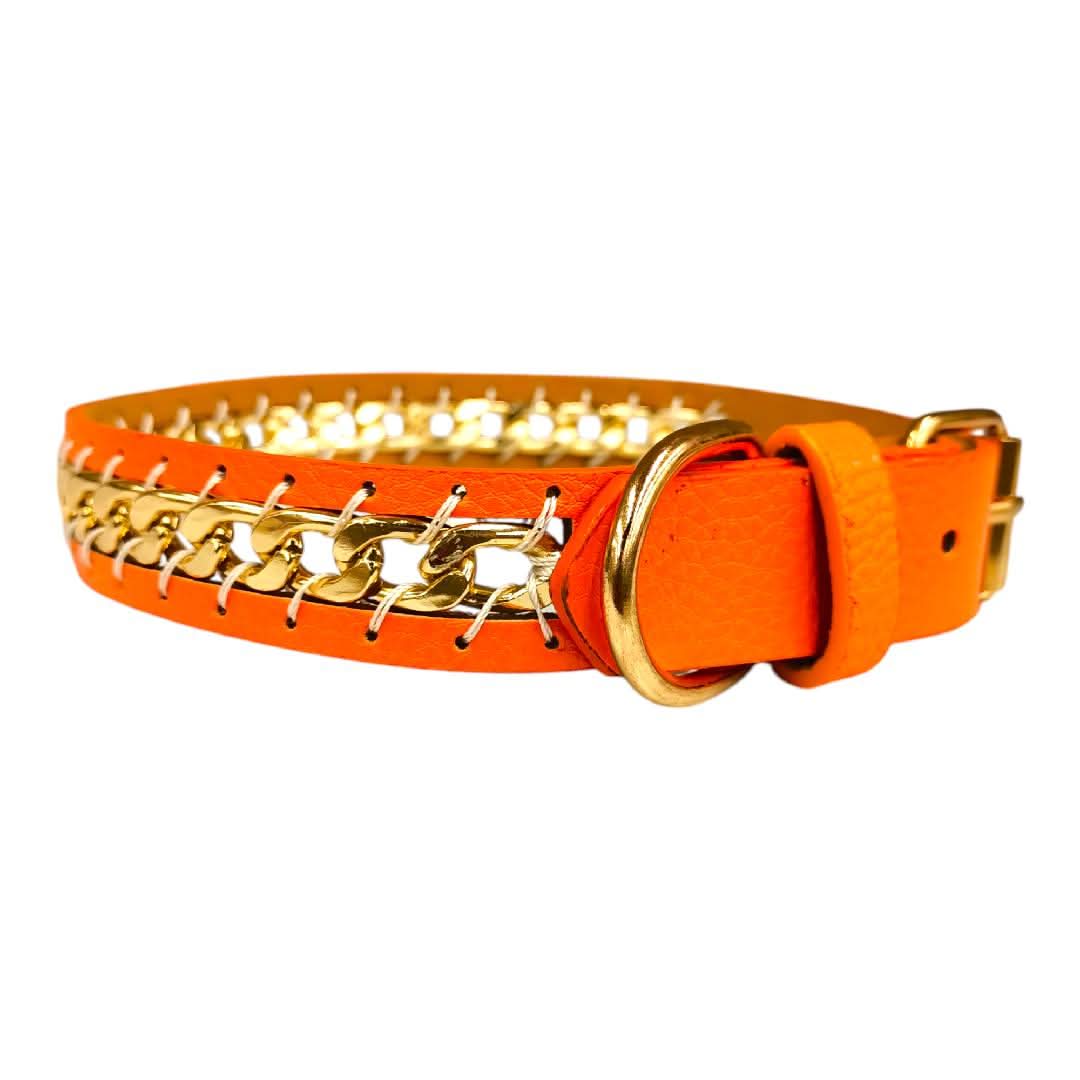 CT3416 1 Pieza De Collar Para Mascota - Imagen 4