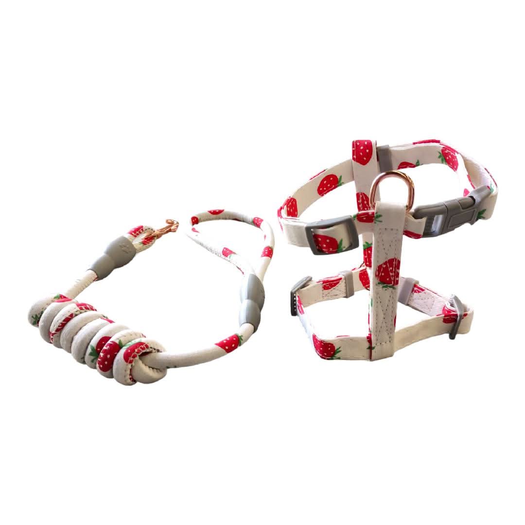 CT3525 1 Pieza De Pechera Con Correa Para Mascota - Imagen 3