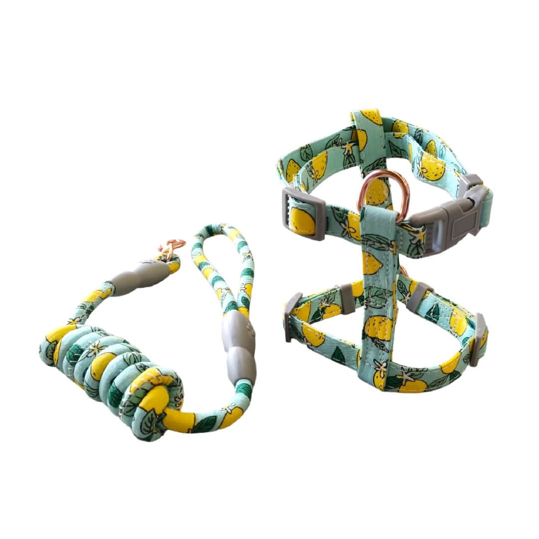 CT3525 1 Pieza De Pechera Con Correa Para Mascota - Imagen 6