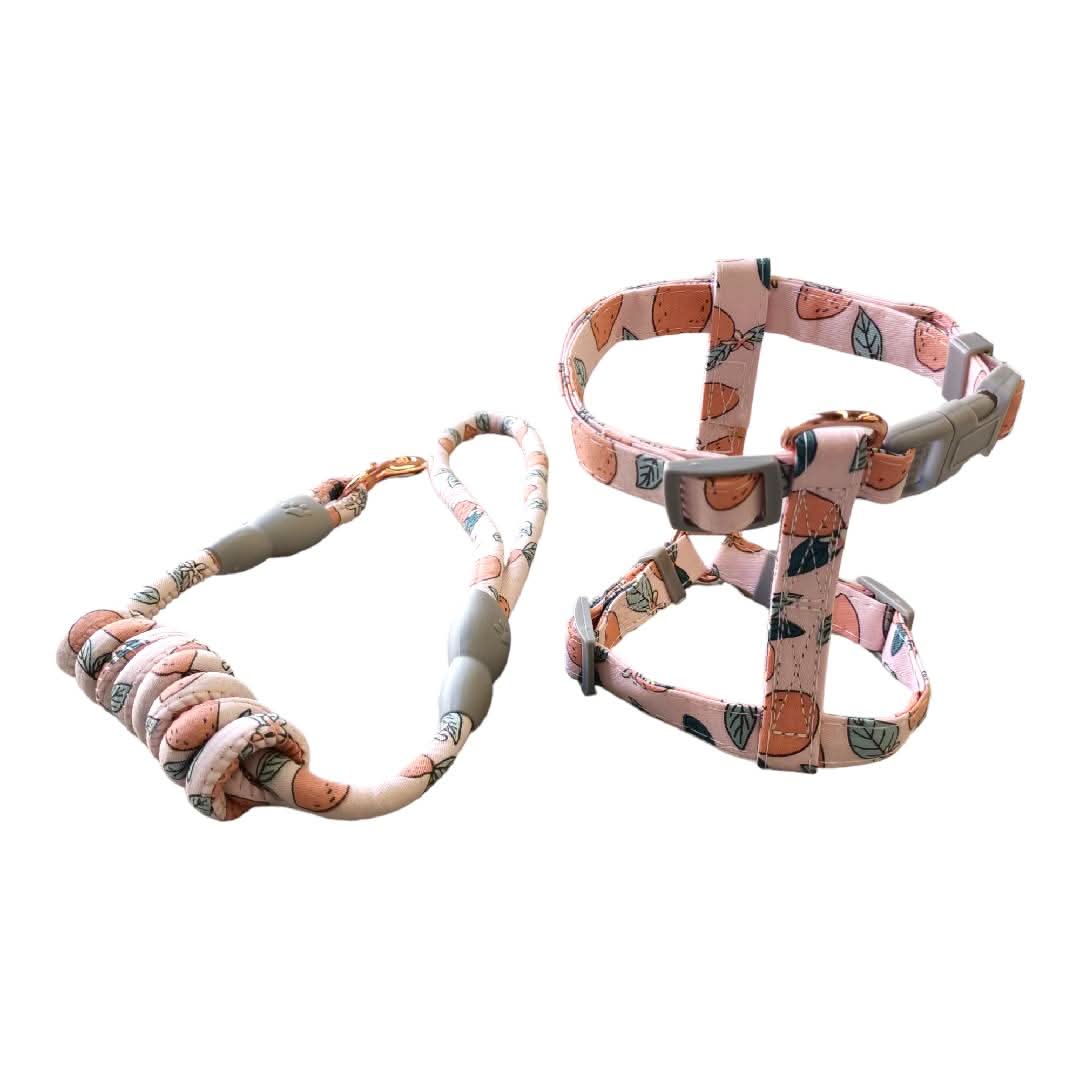 CT3525 1 Pieza De Pechera Con Correa Para Mascota - Imagen 4