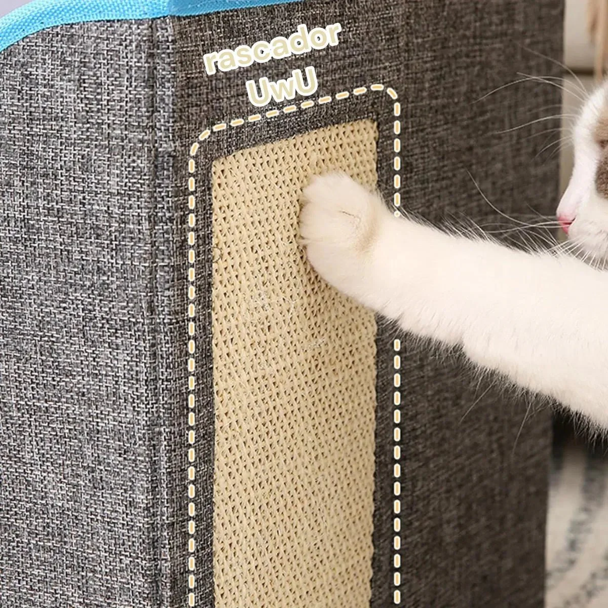 CT3583 1 Pieza De Casa Cama Plegable Para Mascota - Imagen 5