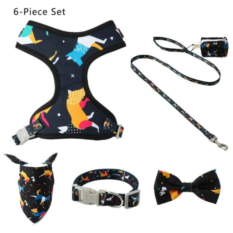 CT3587 1 Kit De Paseo Para Mascota - Imagen 3