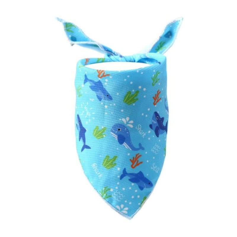 CT3587 1 Kit De Paseo Para Mascota - Imagen 5