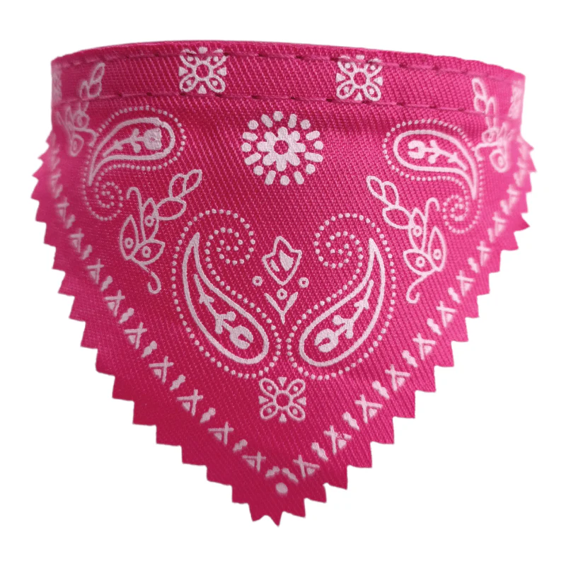 CT3655 1 Pieza De Collares Para Mascotas Con Diseño De Paliacate Ch - Imagen 6