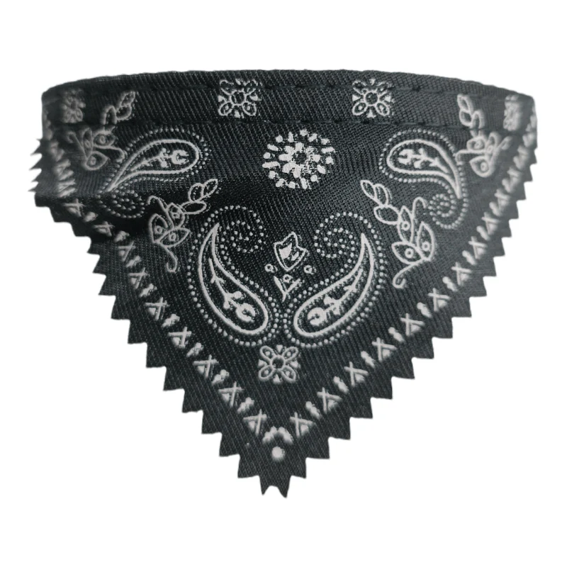 CT3655 1 Pieza De Collares Para Mascotas Con Diseño De Paliacate Ch - Imagen 7