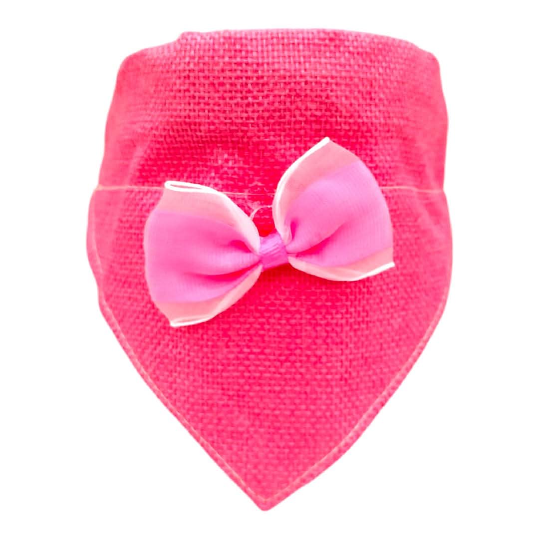 CT3669 1 Pieza De Paliacate Para Mascota - Imagen 2