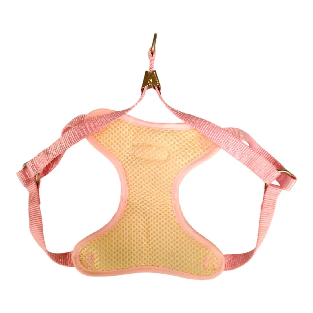 CT3751 1 Pieza De Pechera Con Correa Para Mascota - Imagen 6