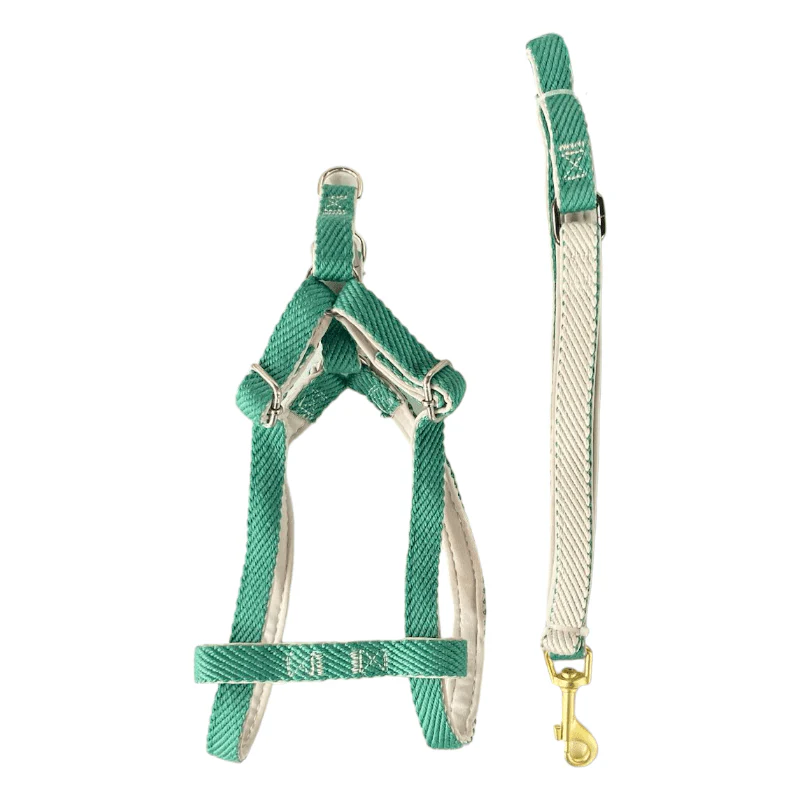 CT3761 1 Pieza De Pechera Con Correa Para Mascota - Imagen 2