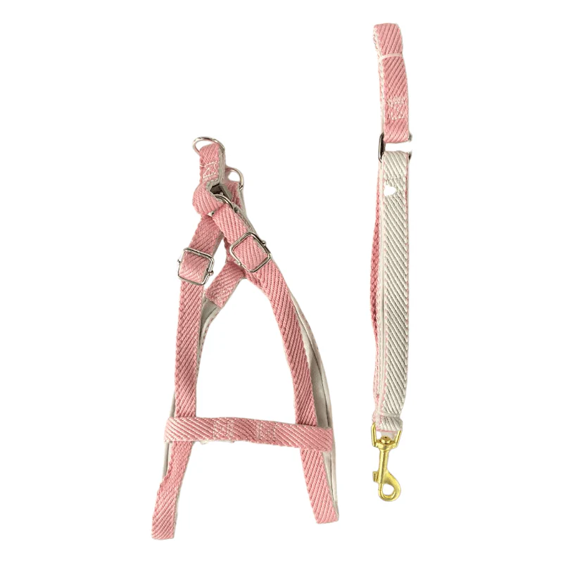 CT3761 1 Pieza De Pechera Con Correa Para Mascota - Imagen 4