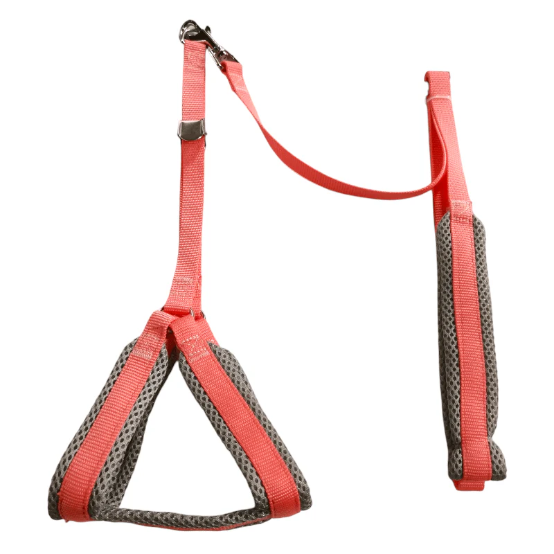 CT3822 1 Pieza De Pechera Con Correa Para Mascotas - Imagen 2