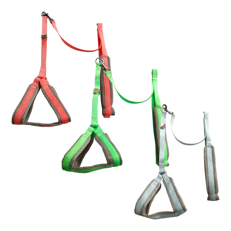 CT3822 1 Pieza De Pechera Con Correa Para Mascotas