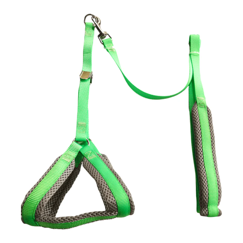 CT3822 1 Pieza De Pechera Con Correa Para Mascotas - Imagen 3