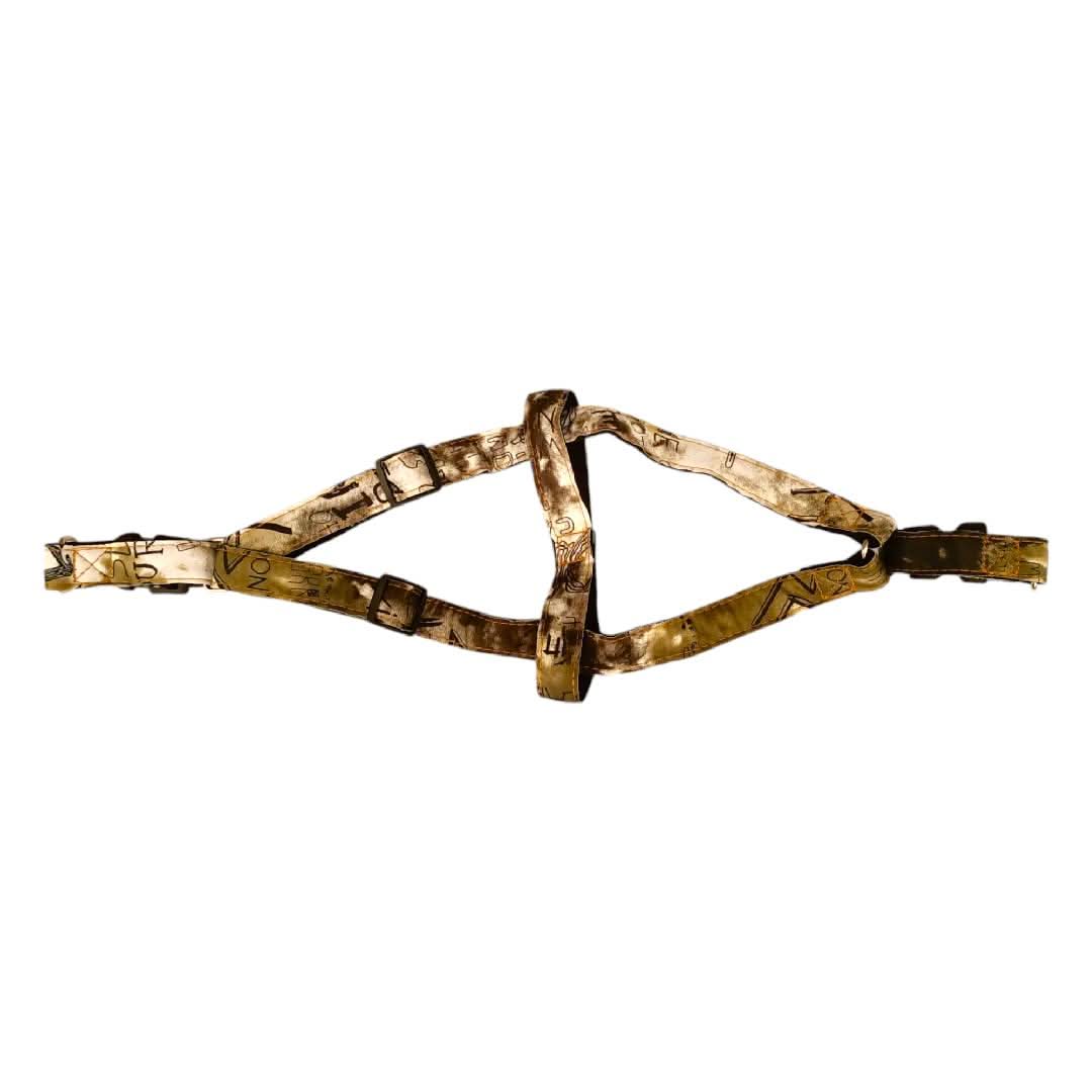 CT3867 1 Pieza De Pechera Con Correa Para Mascota - Imagen 5