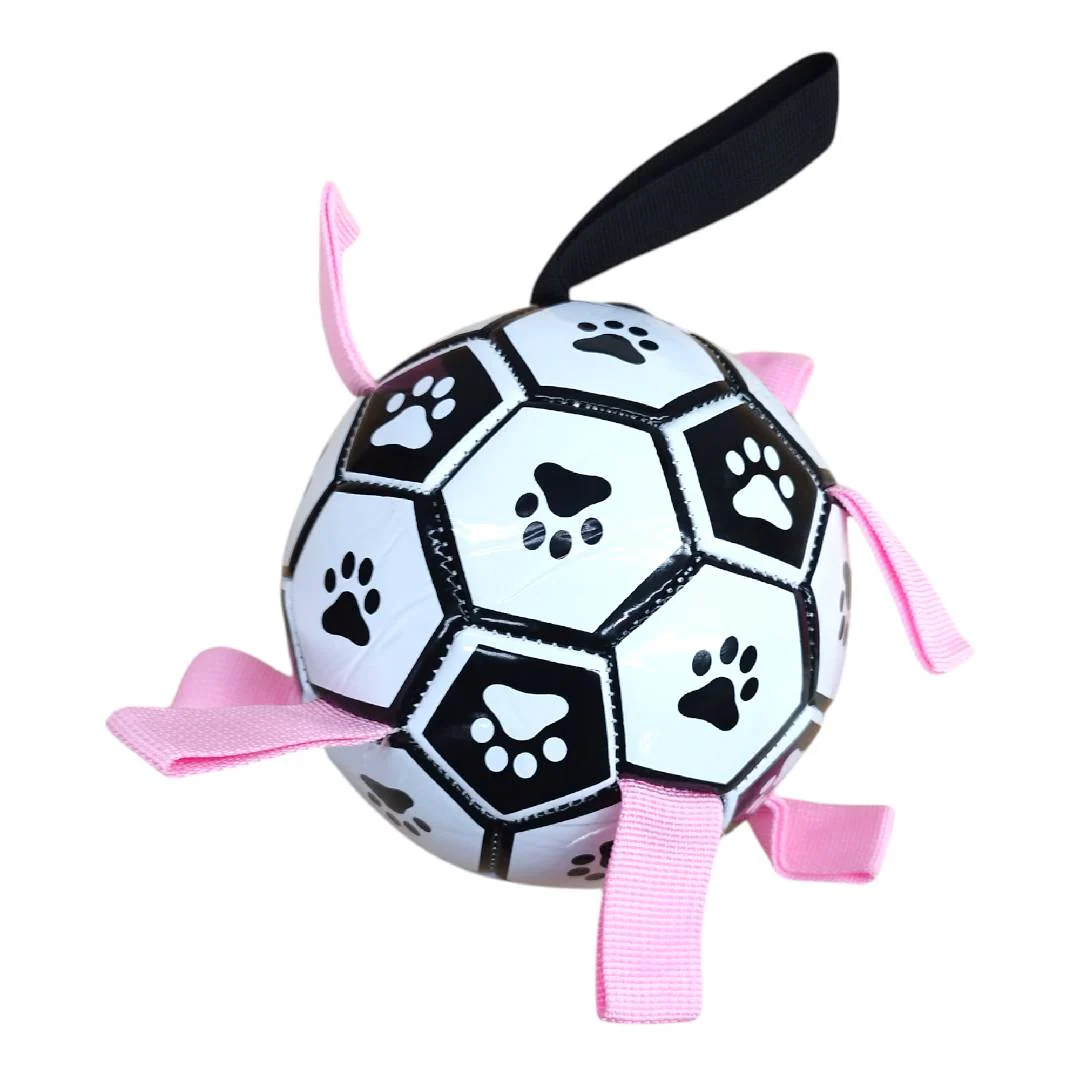 CT4078 1 Pieza De Juguete Balon Para Mascota