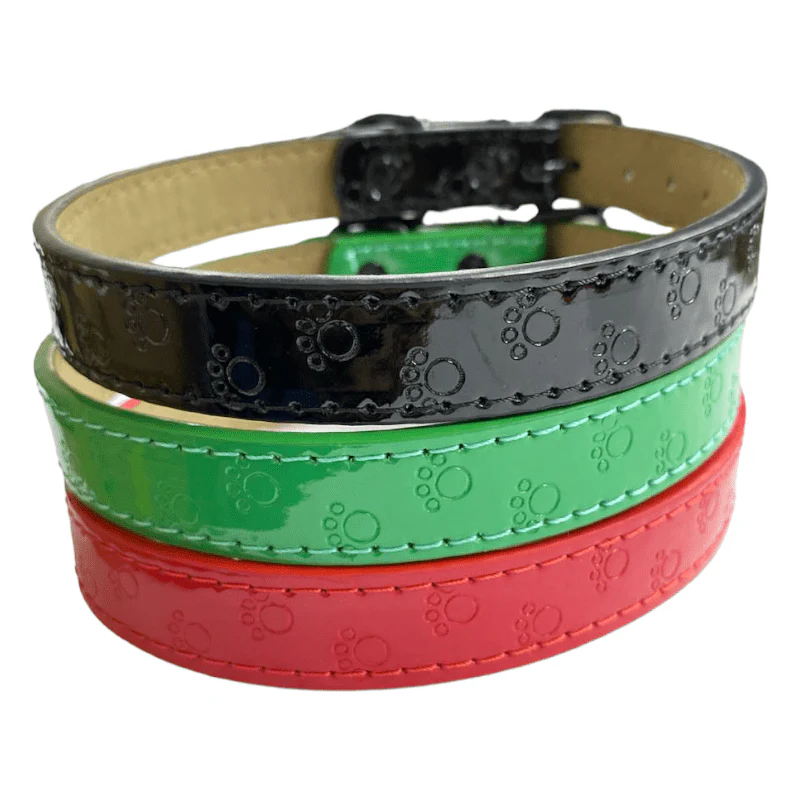 CT4362 1 Pieza De Collar Para Mascota