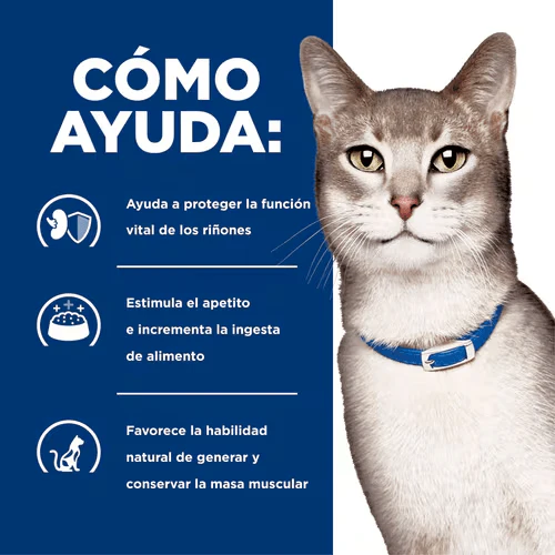 CT4530 1 Pieza De Alimento Cuidado De Riñon Para Gato - Imagen 4