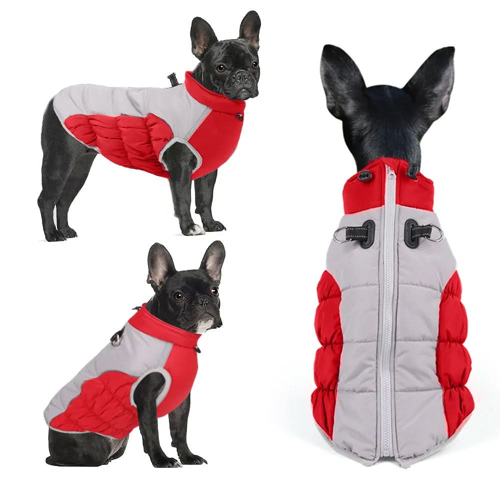 CT4857 1 Pieza De Ropa De Invierno Para Mascota - Imagen 3