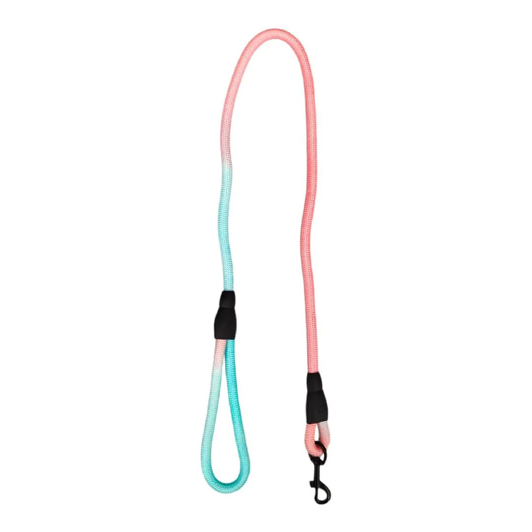 CT4895 1 Pieza De Correa Para Mascota - Imagen 5