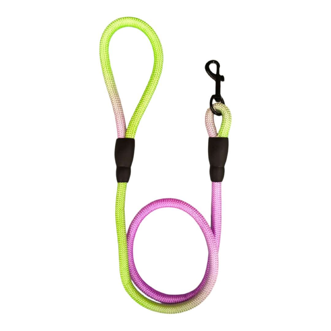 CT4895 1 Pieza De Correa Para Mascota - Imagen 4