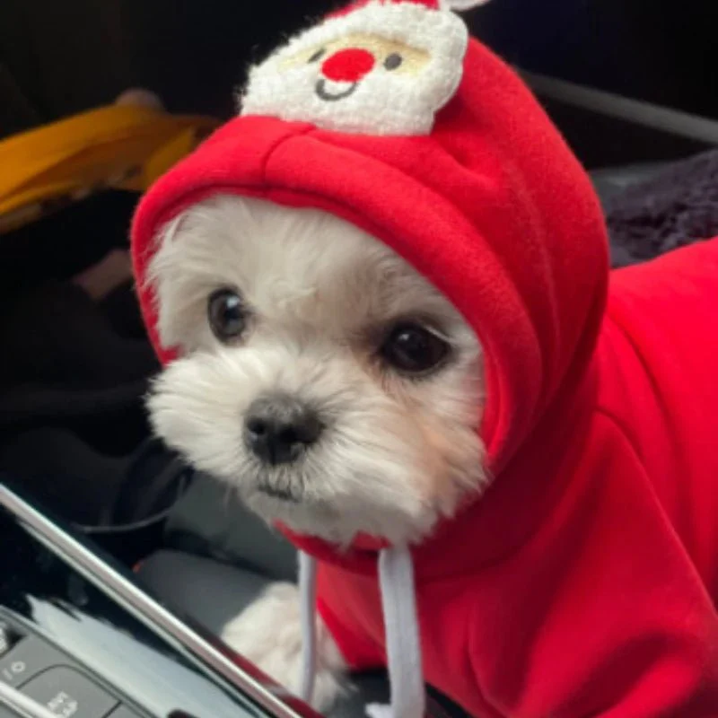 CT5025 1 Pieza De Ropa De Invierno De Navidad Para Mascota - Imagen 2