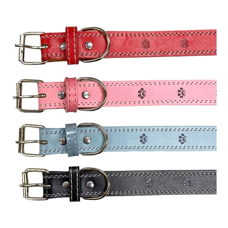CT5595 1 Pieza De Collar Para Mascota - Imagen 2