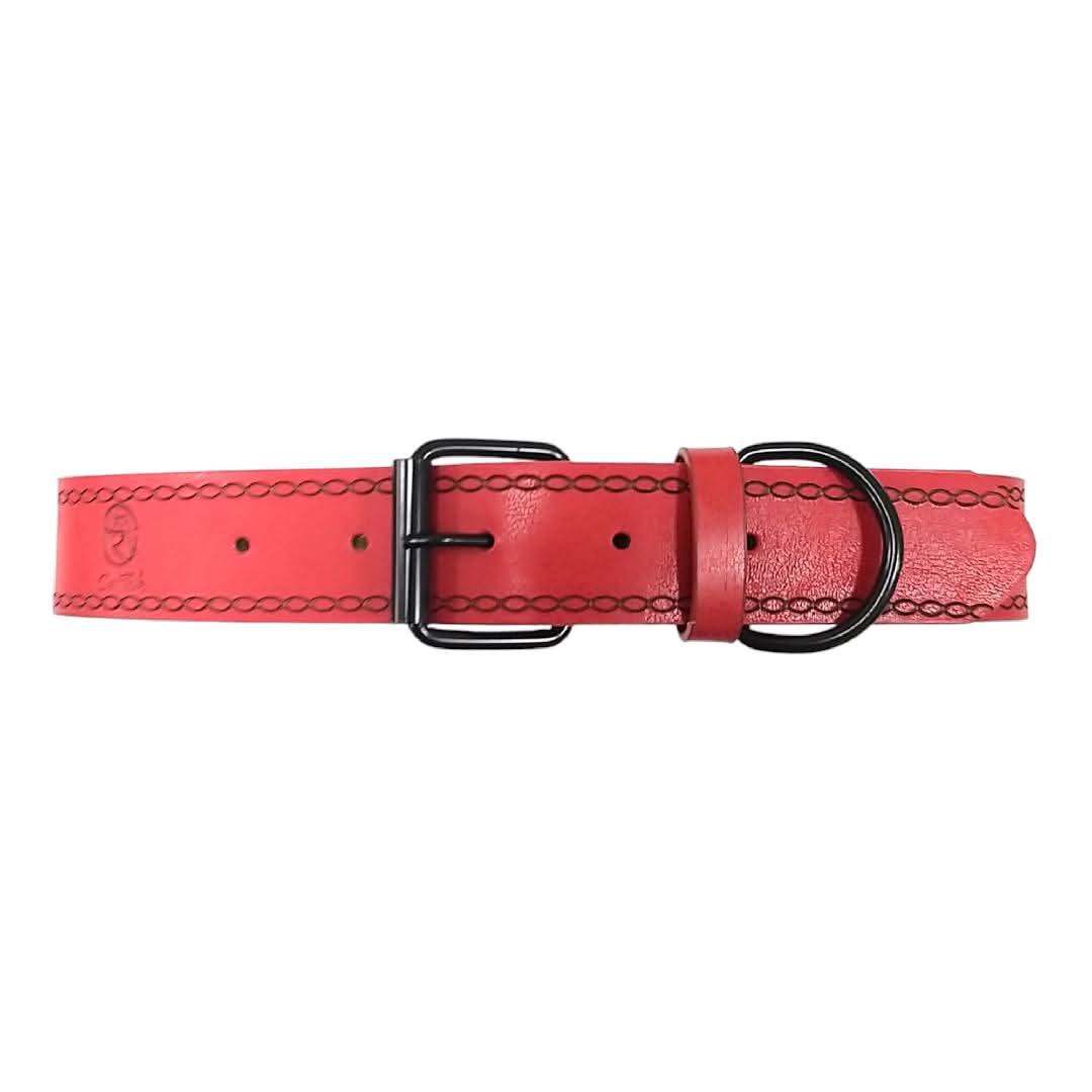 CT6213 1 Pieza De Collar Para Mascota - Imagen 2