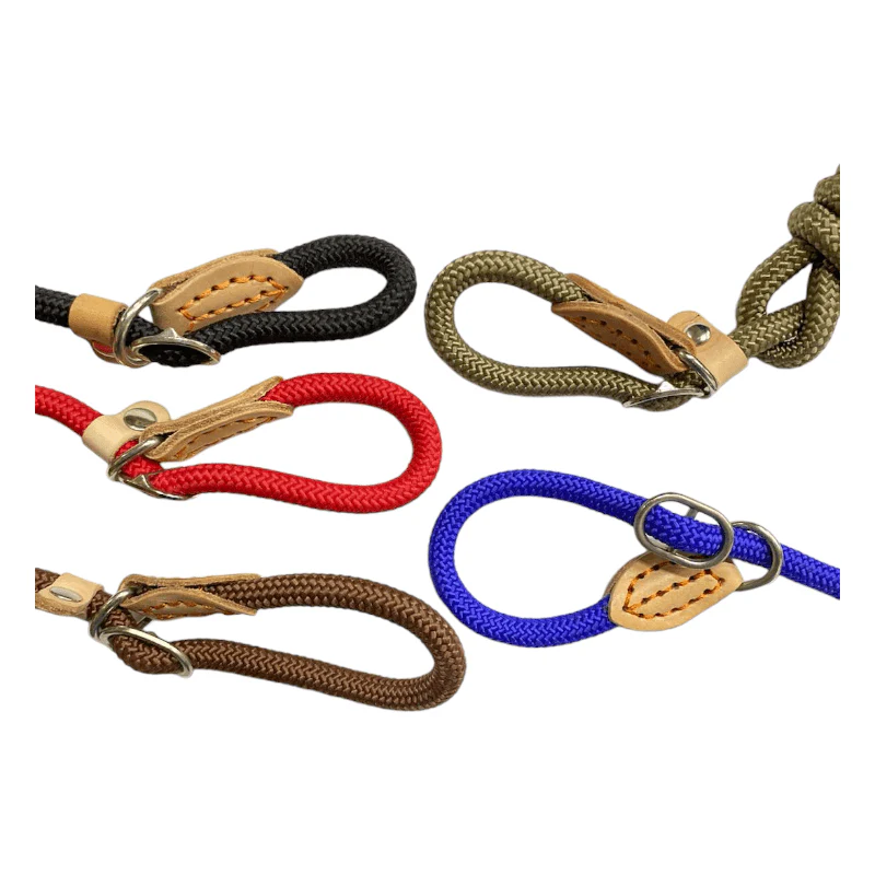 CT6526 1 Pieza De Correa Entrenamiento Para Mascota - Imagen 2