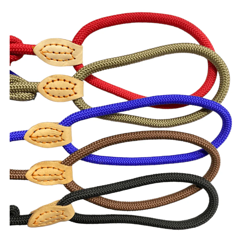 CT6526 1 Pieza De Correa Entrenamiento Para Mascota - Imagen 3