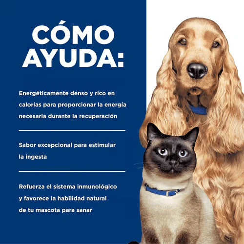 CT6700 1 Pieza De Alimento Cuidado Urgente Con Pollo Para Mascota - Imagen 5