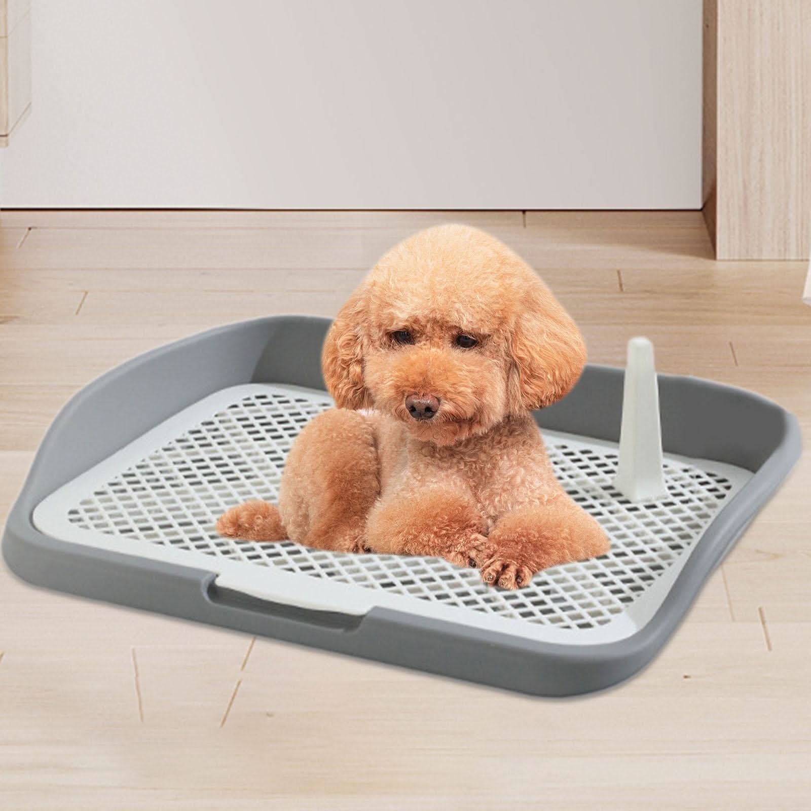 CT6905 1 Pieza De Tapete Entrenador Para Mascota - Imagen 5