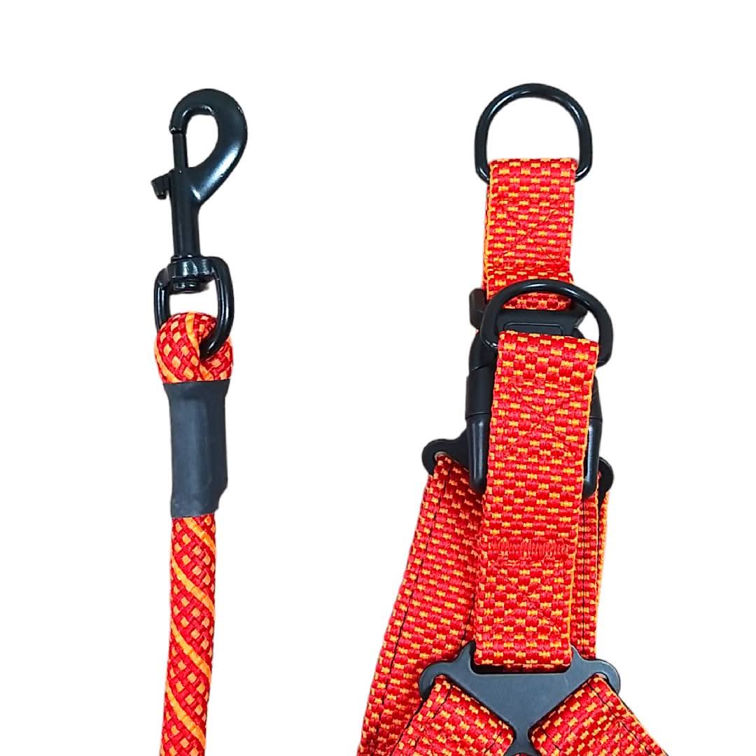 CT6930 1 Pieza De Pechera Con Correa Para Mascota - Imagen 7