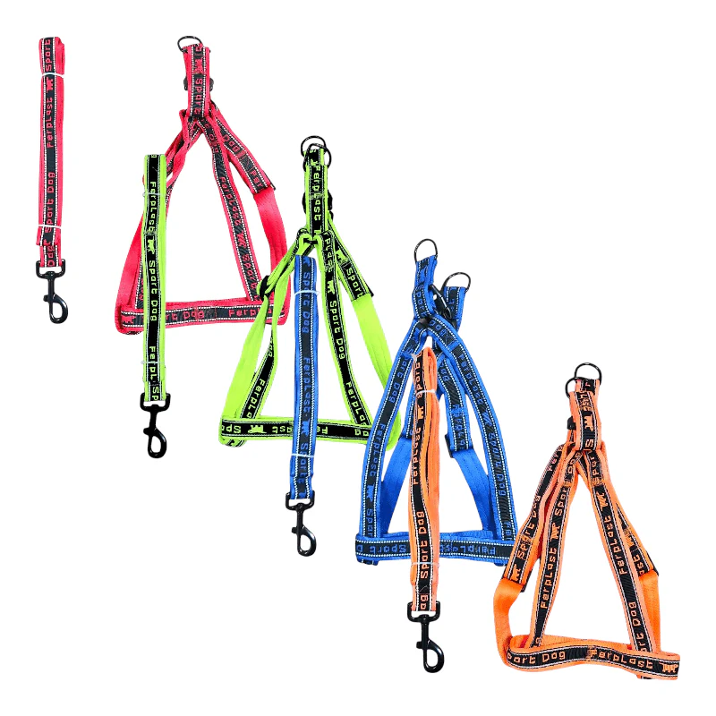 CT6947 1 Pieza De Pechera Con Correa Para Mascota