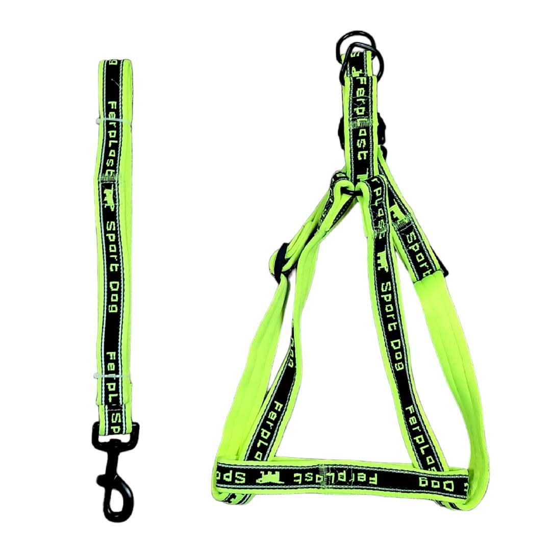 CT6947 1 Pieza De Pechera Con Correa Para Mascota - Imagen 2