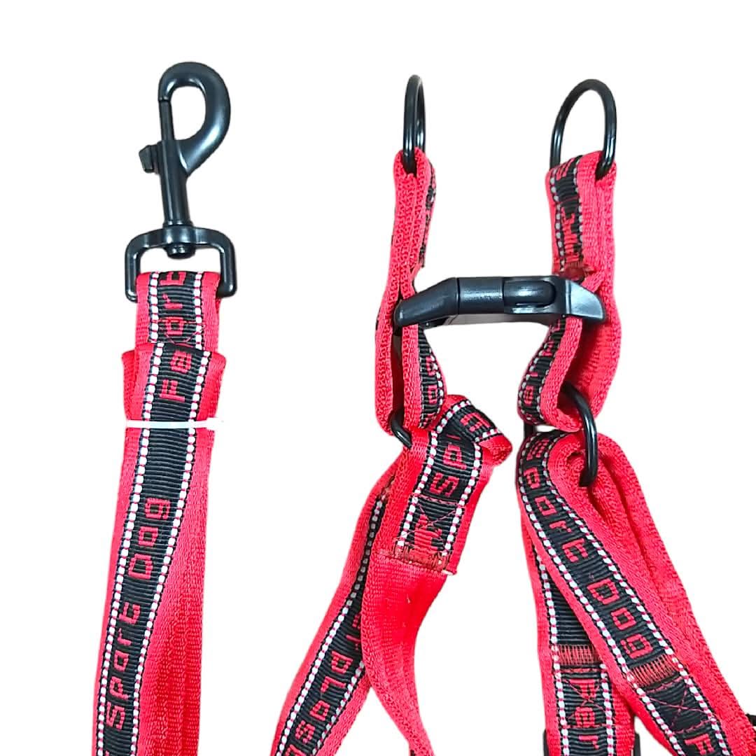 CT6947 1 Pieza De Pechera Con Correa Para Mascota - Imagen 7