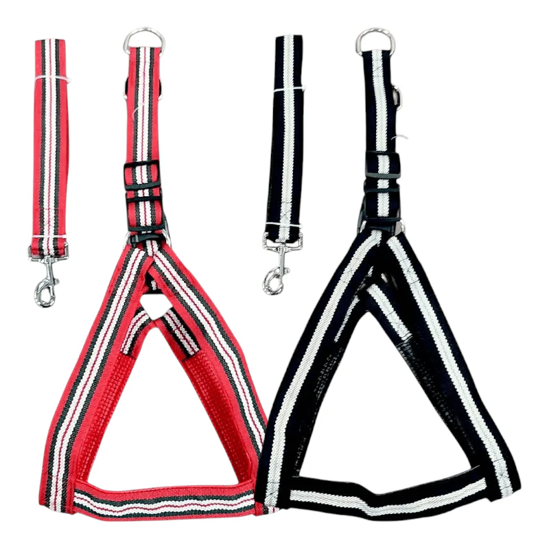 CT7036 1 Pieza De Pechera Con Correa Para Mascota