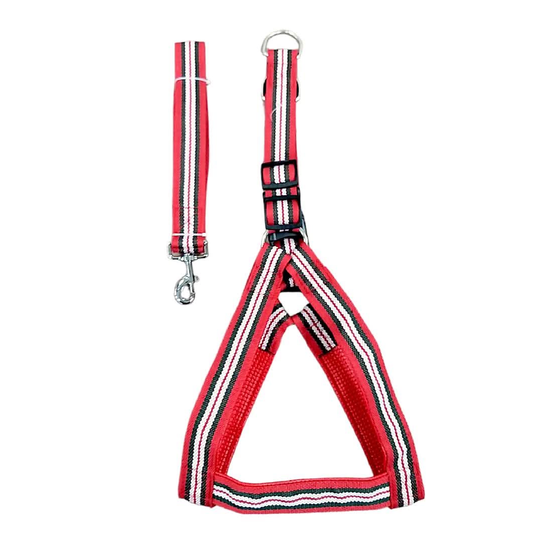 CT7036 1 Pieza De Pechera Con Correa Para Mascota - Imagen 2