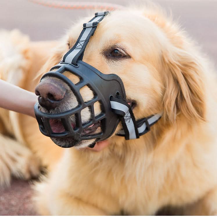 CT7240 1 Pieza De Bozal Resistente Para Mascota - Imagen 5