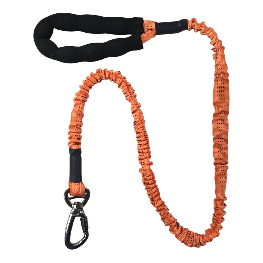 CT7263 1 Pieza De Correa De Resorte Para Mascota - Imagen 5