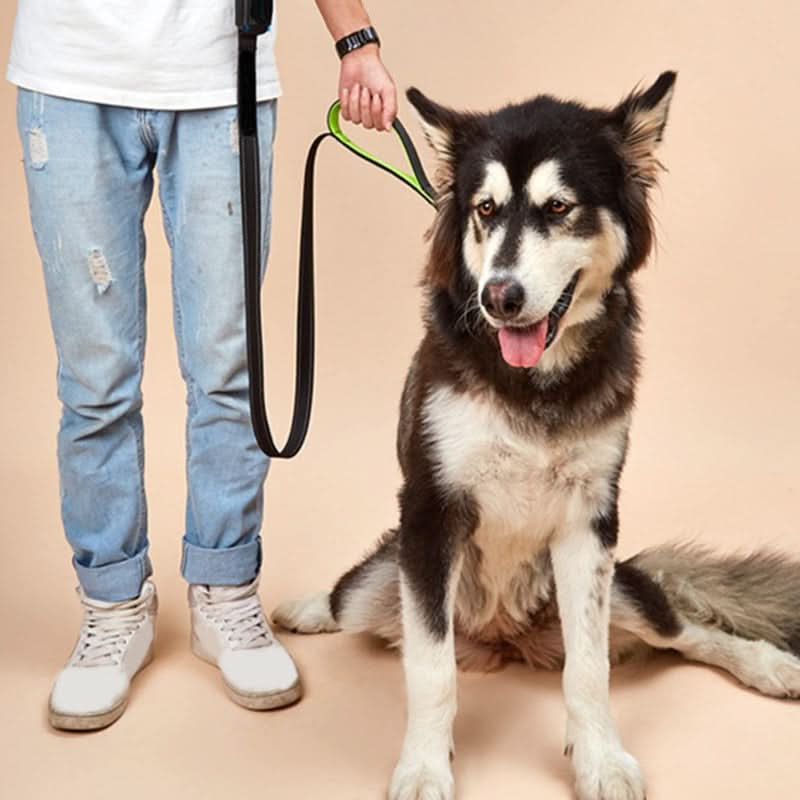 CT7654 1 Pieza De Correa Para Mascota - Imagen 5