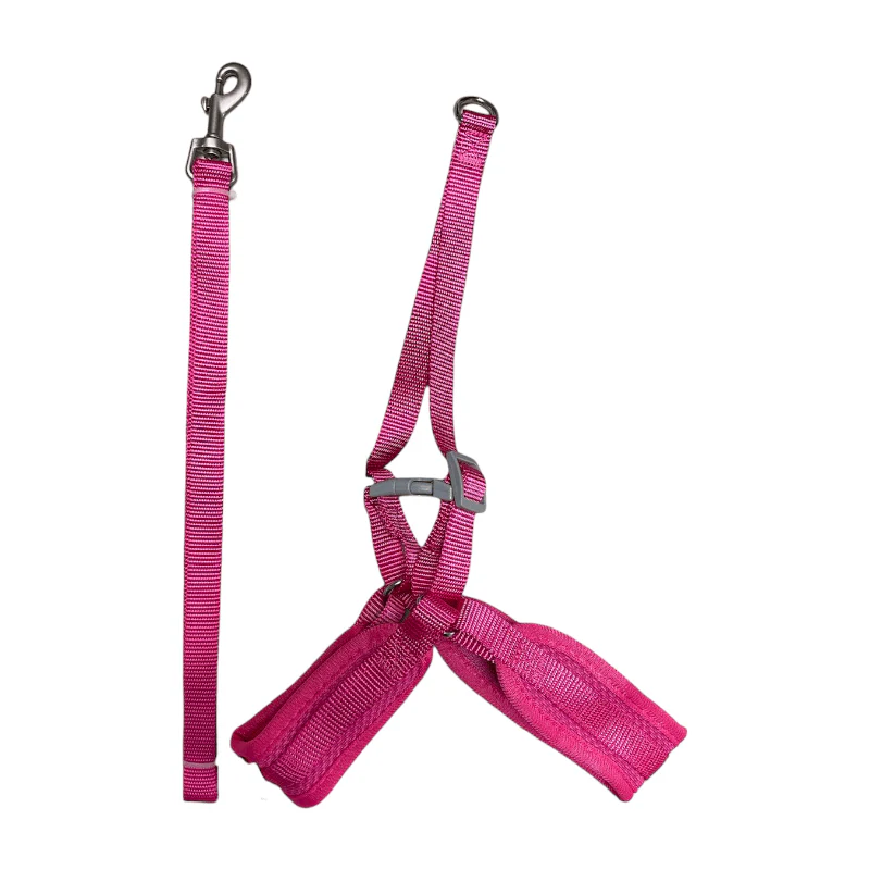 CT8200 1 Pieza De Pechera Con Correa Para Mascota - Imagen 3