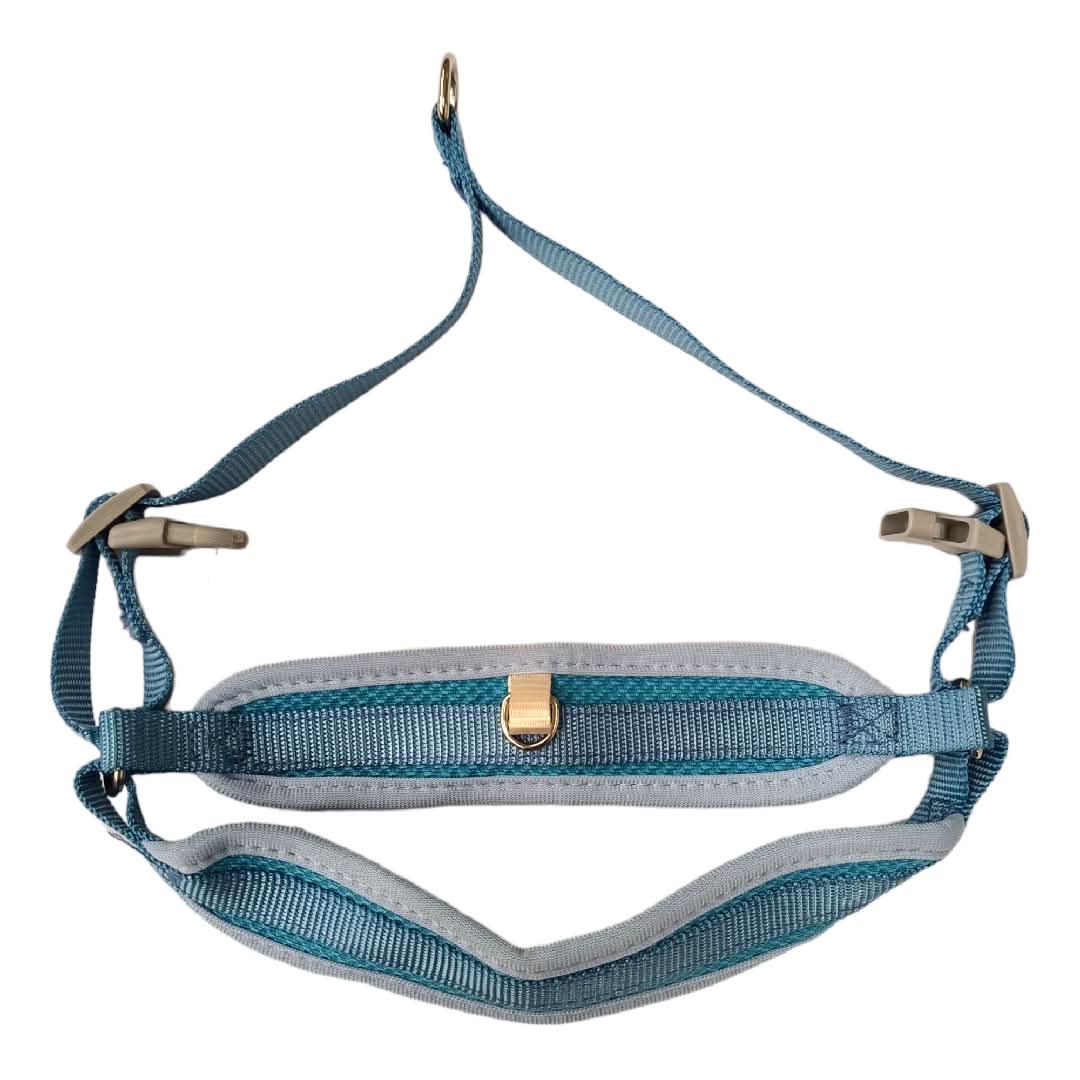 CT8200 1 Pieza De Pechera Con Correa Para Mascota - Imagen 2