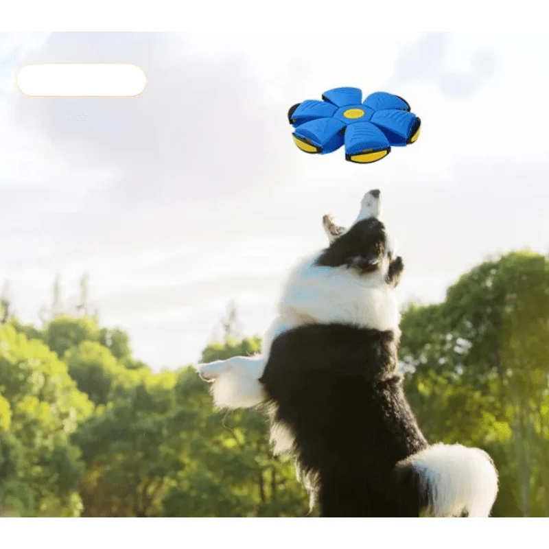 CT8343 1 Pieza De Juguete Para Mascota - Imagen 4