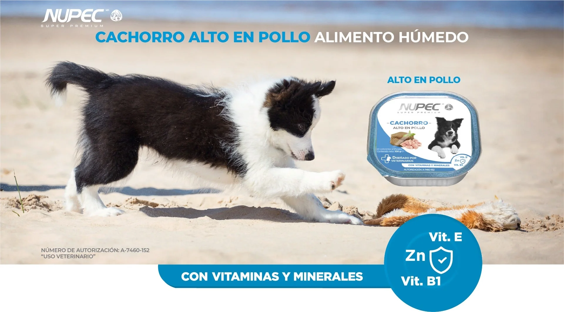CT8432 1 Pieza De Alimento Humedo Para Cachorro Alto En Pollo - Imagen 3