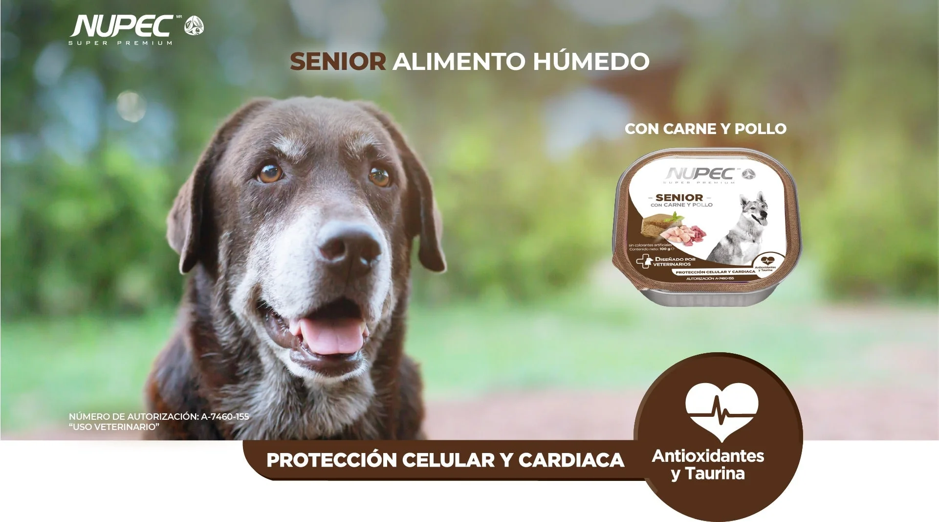 CT8435 1 Pieza De Alimento Humedo Senior Carne y Pollo - Imagen 3