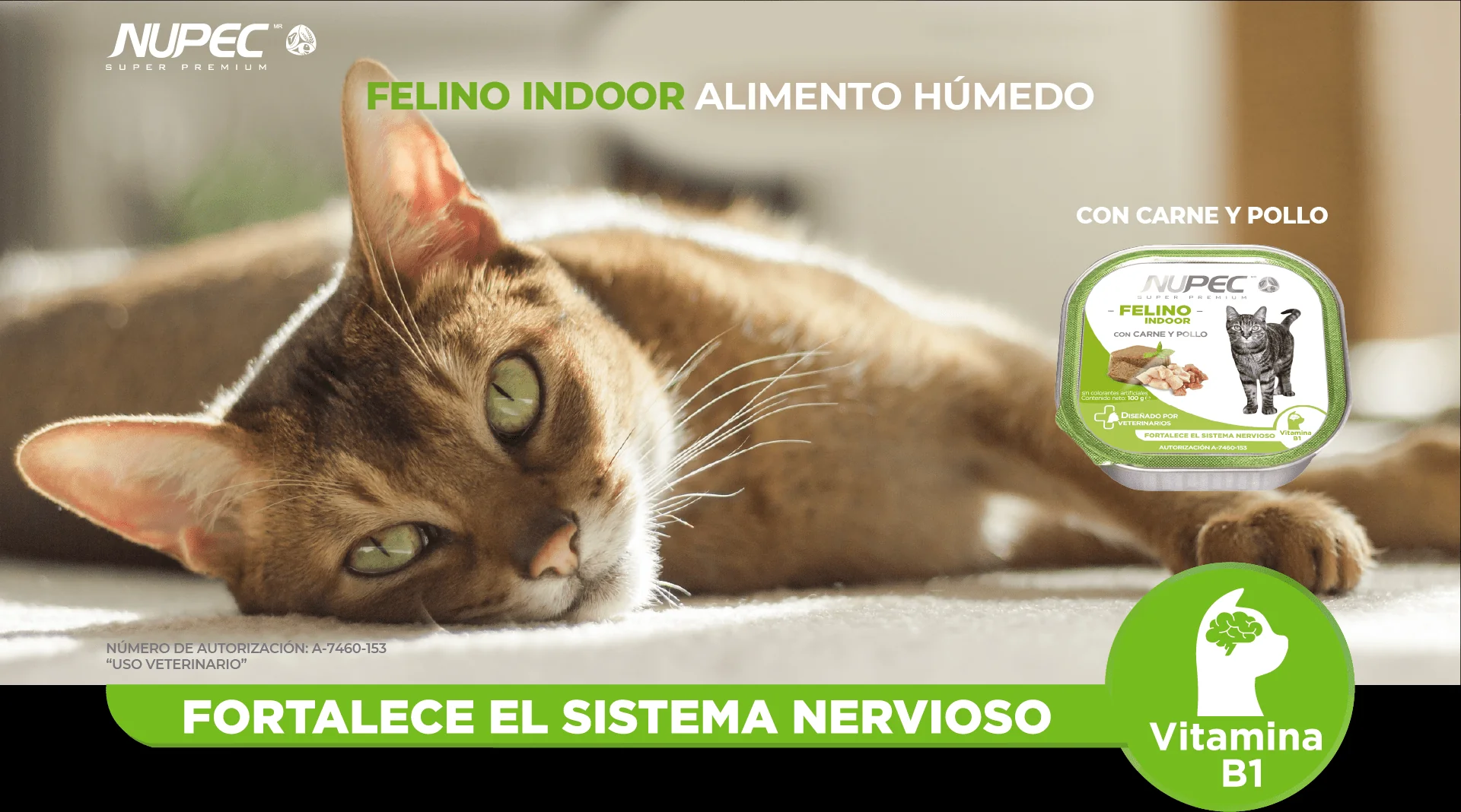 CT8436 1 Pieza De Alimento Humedo Felino Indoor Carne y Pollo - Imagen 3