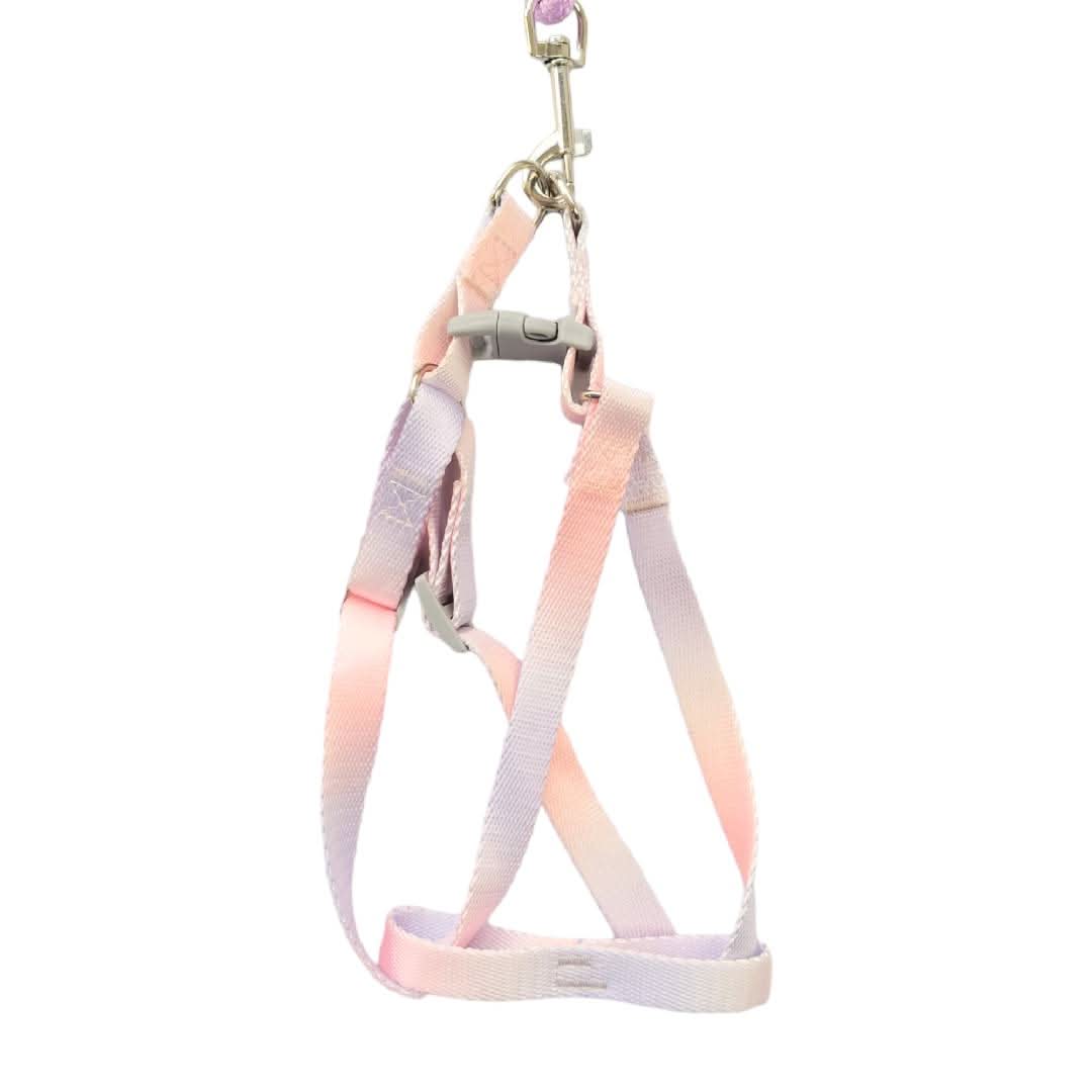 CT9085 1 Pieza De Pechera Con Correa Para Mascota - Imagen 3