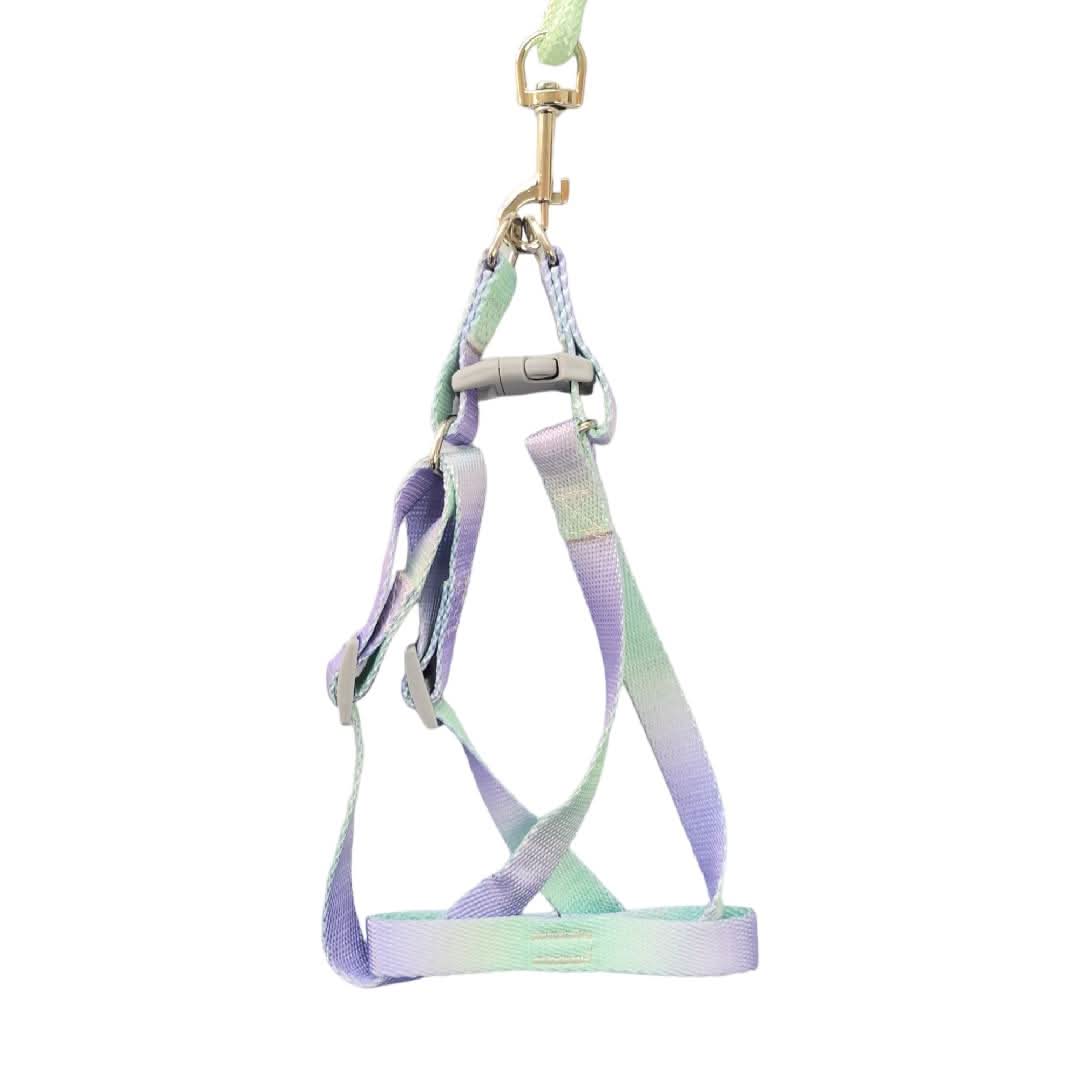 CT9085 1 Pieza De Pechera Con Correa Para Mascota - Imagen 5