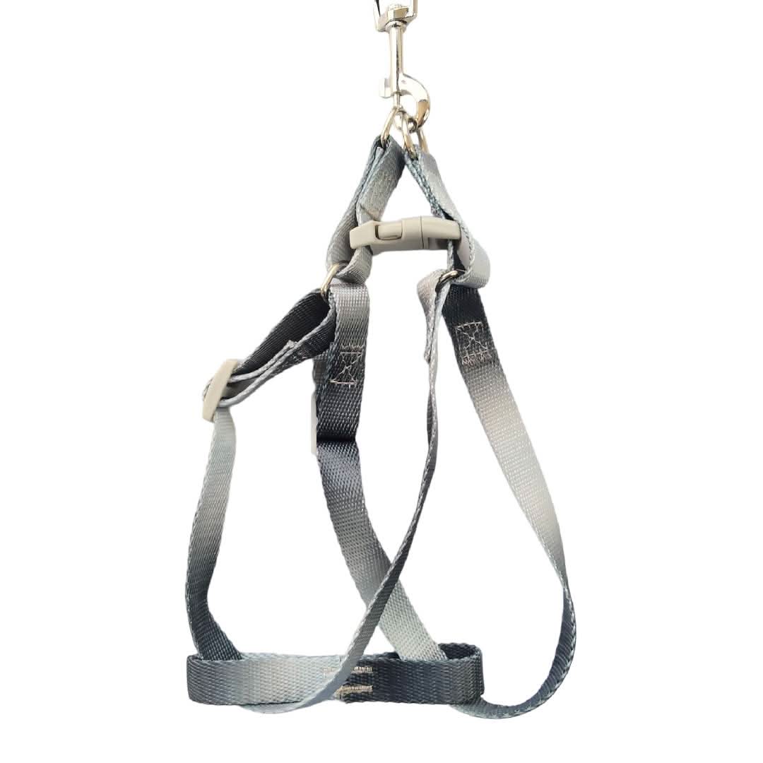 CT9085 1 Pieza De Pechera Con Correa Para Mascota - Imagen 2