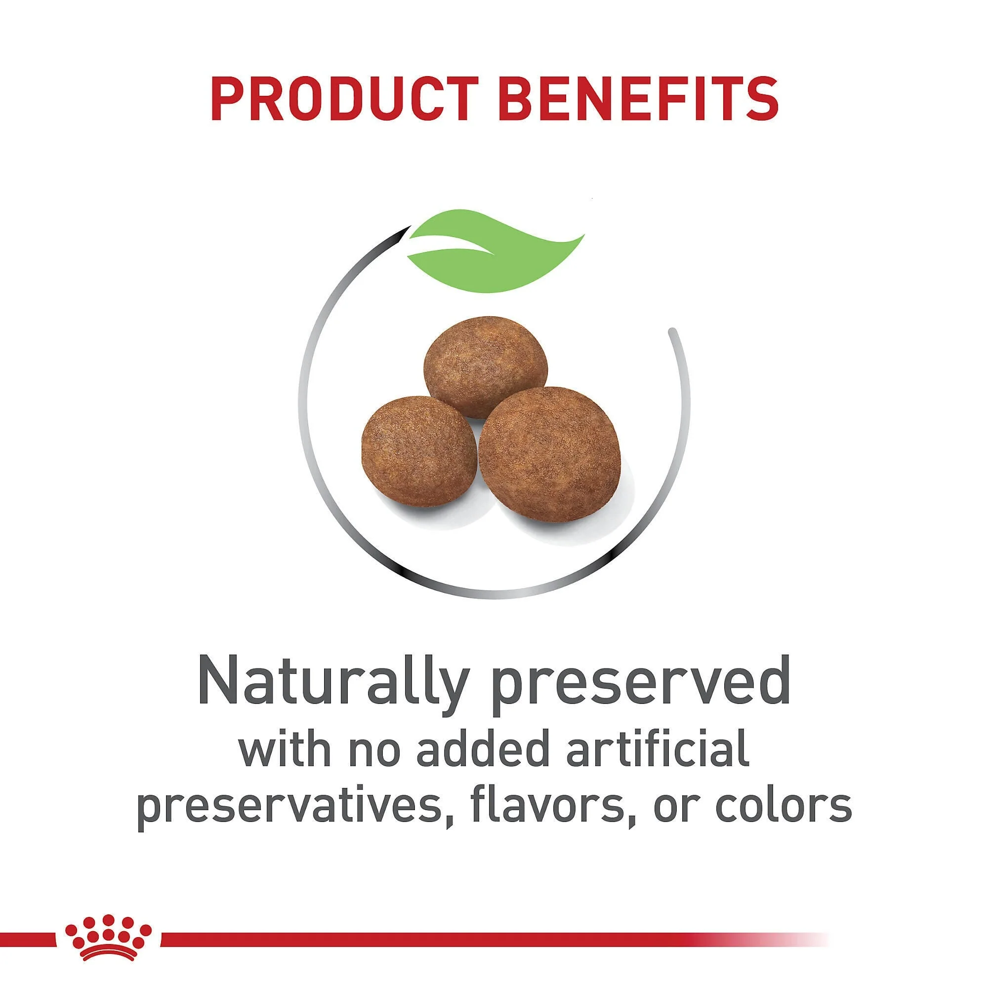 CT9286 1 Pieza De Alimento Puppy Tamaño Grande - Imagen 3